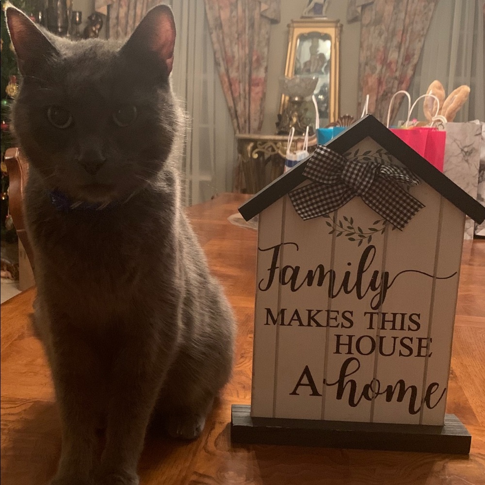 Meet your Posher, Kim